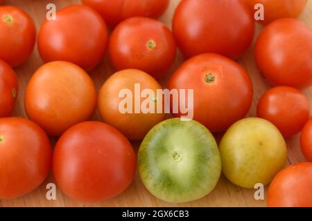 Solanum lycopersicum  'Cherry Falls'  Cherry tomato  Cascading determinate bush variety suitable for containers  Syn.  Lycopersicon esculentum  Picked Stock Photo