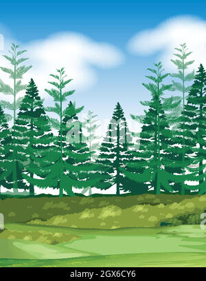 Forest scene with pine trees illustration Stock Vector Image & Art - Alamy