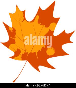 Withered maple leaf. Fallen autumn maple leaf icon. Stock Vector