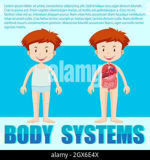 Body systems of boy Stock Vector