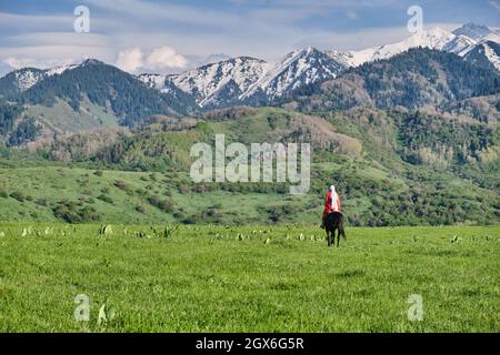 Kazakh girl in traditional dress on horseback, Kazakhstan steppes Stock Photo