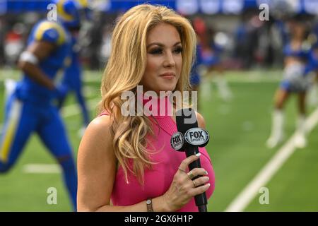 Fox Sports reporter Jen Hale during an NFL football game between the ...