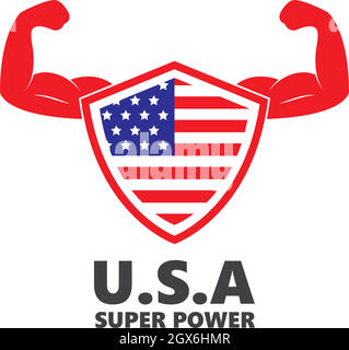 u.s.a flag shield defense vector illustration design Stock Vector