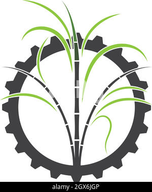 sugar cane vector icon illustration Stock Vector