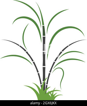 sugar cane vector icon illustration Stock Vector