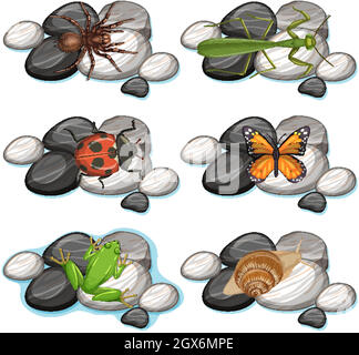 Set of cartoon insects isolated on white background Stock Vector Image ...