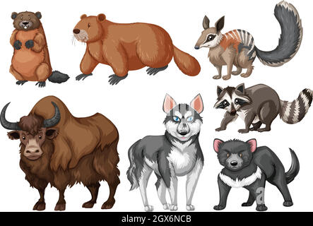 Many types of wild animals Stock Vector