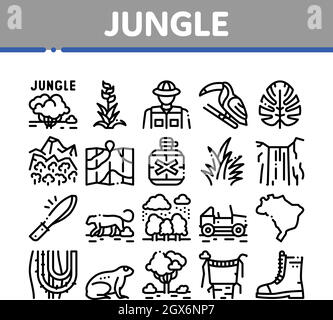 Jungle Tropical Forest Collection Icons Set Vector Stock Vector
