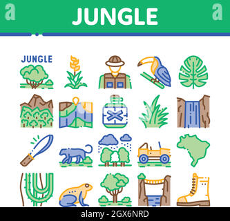 Jungle Tropical Forest Collection Icons Set Vector Stock Vector