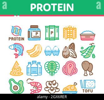 Protein Food Nutrition Collection Icons Set Vector Stock Vector