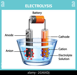 electrolyte diagram