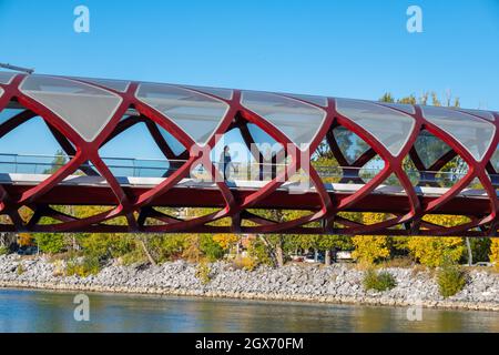 Calgary, Alberta, Canada - 27 September 2021: A view of the Peace Bridge (designed by Santiago Calatrava) in the Autumn season Stock Photo