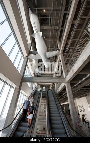 People on escalator beneath a Shark model from the movie Jaws at the Academy Museum of Motion Pictures in Los Angeles, California Stock Photo