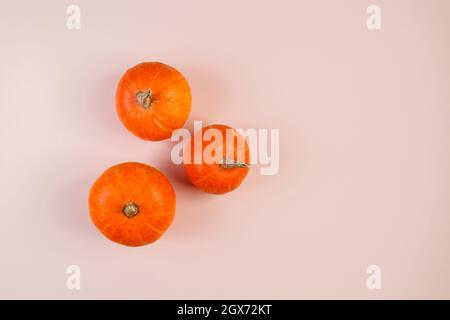 Three pumpkins on a pink background. Symbol for autumn harvest, Halloween and Thanksgiving. Stock Photo