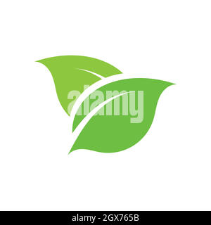 leaf logo green ecology nature element vector image Stock Vector