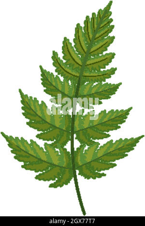 Fern leaf in cartoon style isolated Stock Vector