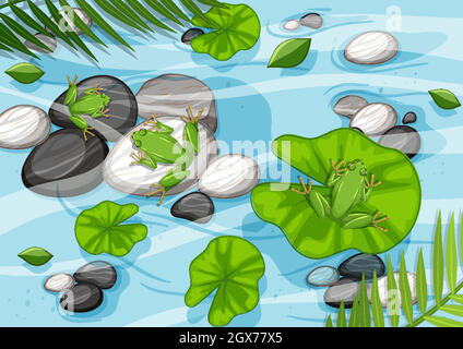 An aerial view of pond illustration Stock Vector Image & Art - Alamy