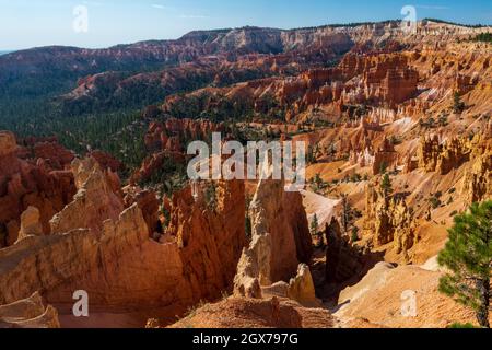 Hiking through the Bryce Canyon Ampitheater reveals many HooDoo's and other beautiful sites Stock Photo