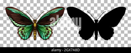 Butterfly and its silhouette on transparent background Stock Vector