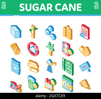 Sugar Cane Agriculture Isometric Icons Set Vector Stock Vector