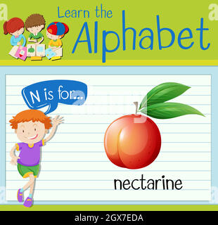 Flashcard letter N is for nectarine Stock Vector