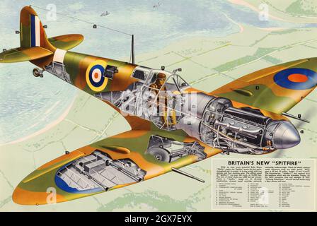 A Cutaway diagram of the Supermarine Spitfire Stock Photo