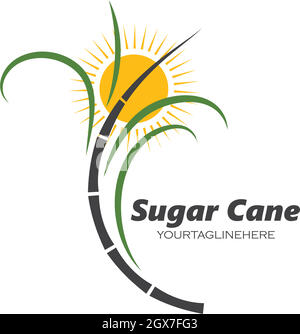 sugar cane vector icon illustration Stock Vector