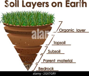 Diagram showing soil layers on earth Stock Vector