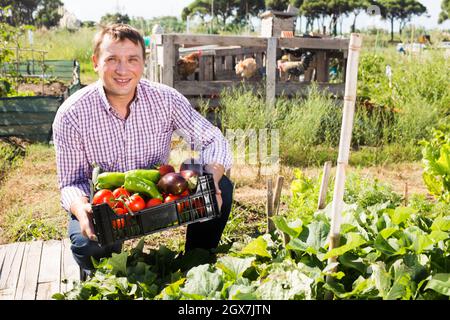 Man holding basket with harvest of vegetables, near chicken house Stock Photo