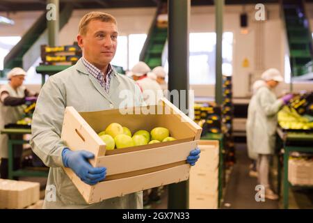 Man arranges boxes with apples at factory Stock Photo