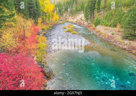 fall colors along the north fork blackfoot river near ovando, montana Stock Photo