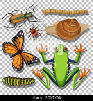 Set of different insects on transparent background Stock Vector