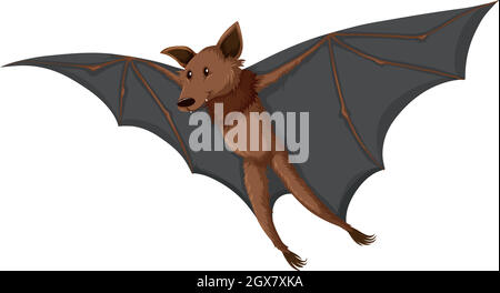 bat flying on white background vector illustration design Stock Vector ...