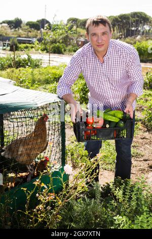 Man holding basket with harvest of vegetables, near chicken house Stock Photo