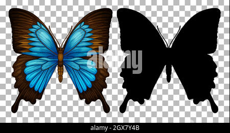 Butterfly and its silhouette on transparent background Stock Vector