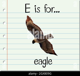 Flashcard letter E is for eagle Stock Vector Image & Art - Alamy