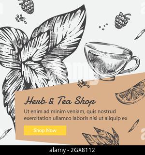 Herbs and tea shop, organic ingredients vector Stock Vector