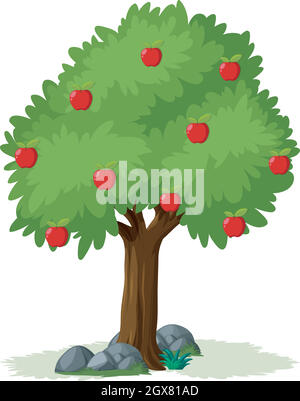 Isolated apple tree on white background Stock Vector