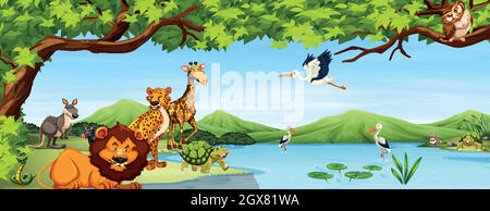 Various wild Animals Scene Stock Vector