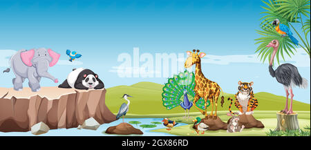 Wild animals in the field Stock Vector