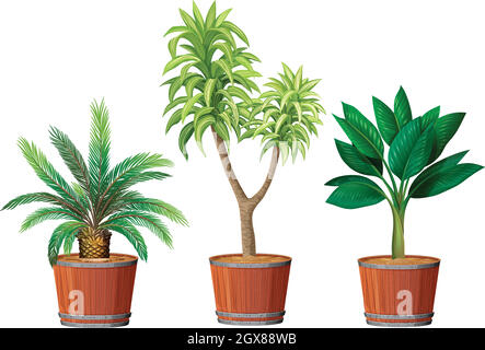 A Set of Plant in Pot Stock Vector