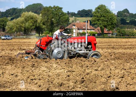 A classic Massey Ferguson 35 tractor ploughing Stock Photo