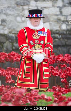 A beefeater stands amongst the ceramic poppies as Queen Elizabeth and Prince Philip visit The Blood Swept Land and Seas of Red Poppies installation at the Tower of London.  Each poppy symbolises a military fatality in World War 1. Stock Photo