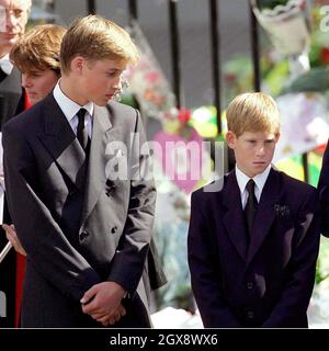 Princes William and Harry at Westminster Abbey for the funeral of the Diana, the Princess of Wales on September 6th 1997.  Photo.  Anwar Hussein     Stock Photo