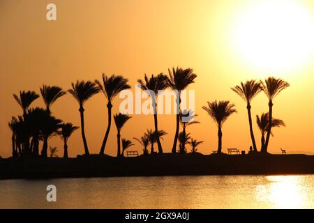 Beautiful place for privacy. Sunset over island in sea. Bright sun during dawn over the sea. Island with palm trees in ocean. Summer vacation. Silhoue Stock Photo