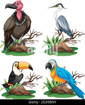 Four different kinds of wild birds Stock Vector