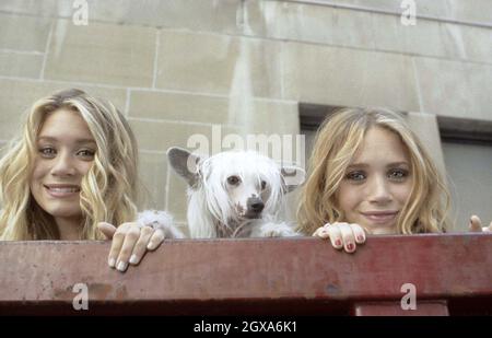 Ashley Olsen and Mary-Kate Olsen staring in the comedy New York Minute Stock Photo