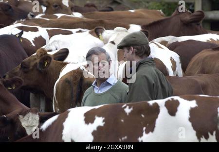 DUCHY HOME FARM, GLOUCESTERSHIRE, ENGLAND - MAY 29: HRH Prince William  visits Duchy Home Farm as part of his ongoing interest in farming and his father's estate, May 29, 2004 in Tetbury, England. (Photo by Anwar Hussein)  Stock Photo