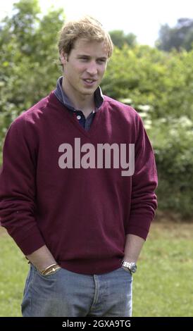 DUCHY HOME FARM, GLOUCESTERSHIRE, ENGLAND - MAY 29: HRH Prince William  visits Duchy Home Farm as part of his ongoing interest in farming and his father's estate, May 29, 2004 in Tetbury, England. (Photo by Anwar Hussein)  Stock Photo