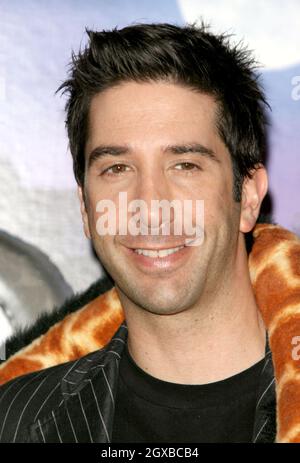 David Schwimmer at the Madagascar photocall held at the Mandarin Hotel in London. The actors do the voice over for the animated characters. Stock Photo